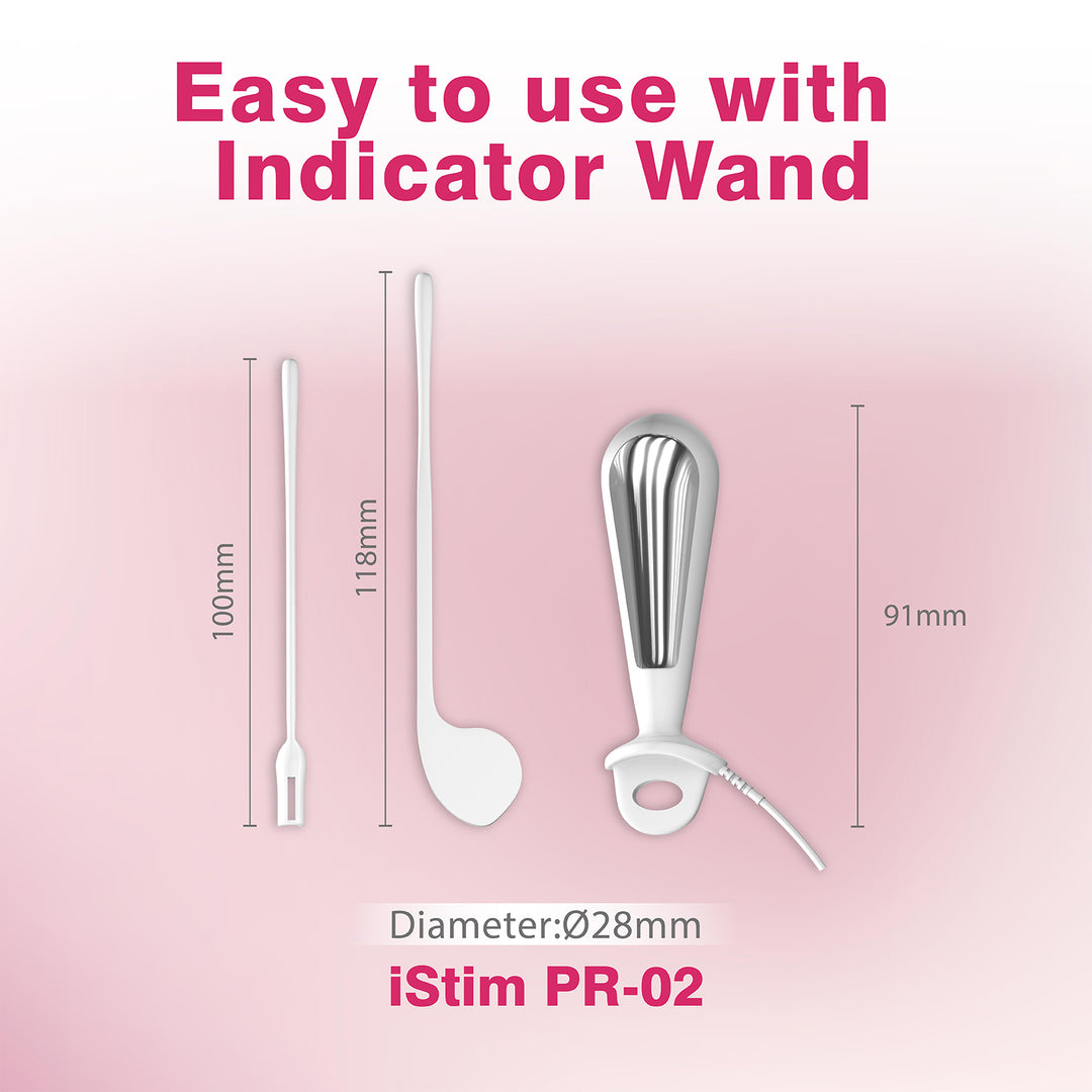 iStim V2 Kegel Exerciser Incontinence Stimulator with Probe for Bladder Control and Pelvic Floor Exercise for Women Electrical Muscle Stimulator (EMS)